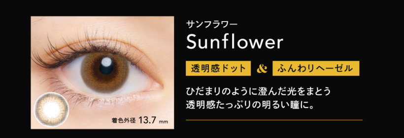 CRUUM(クルーム)サンフラワー-Sunflower【度あり/度なし• ワンデー • DIA14.5】